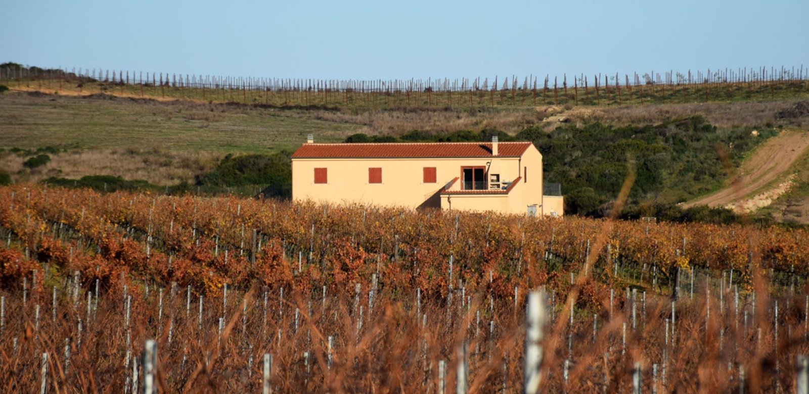 Immagine 2026-01-05 134251