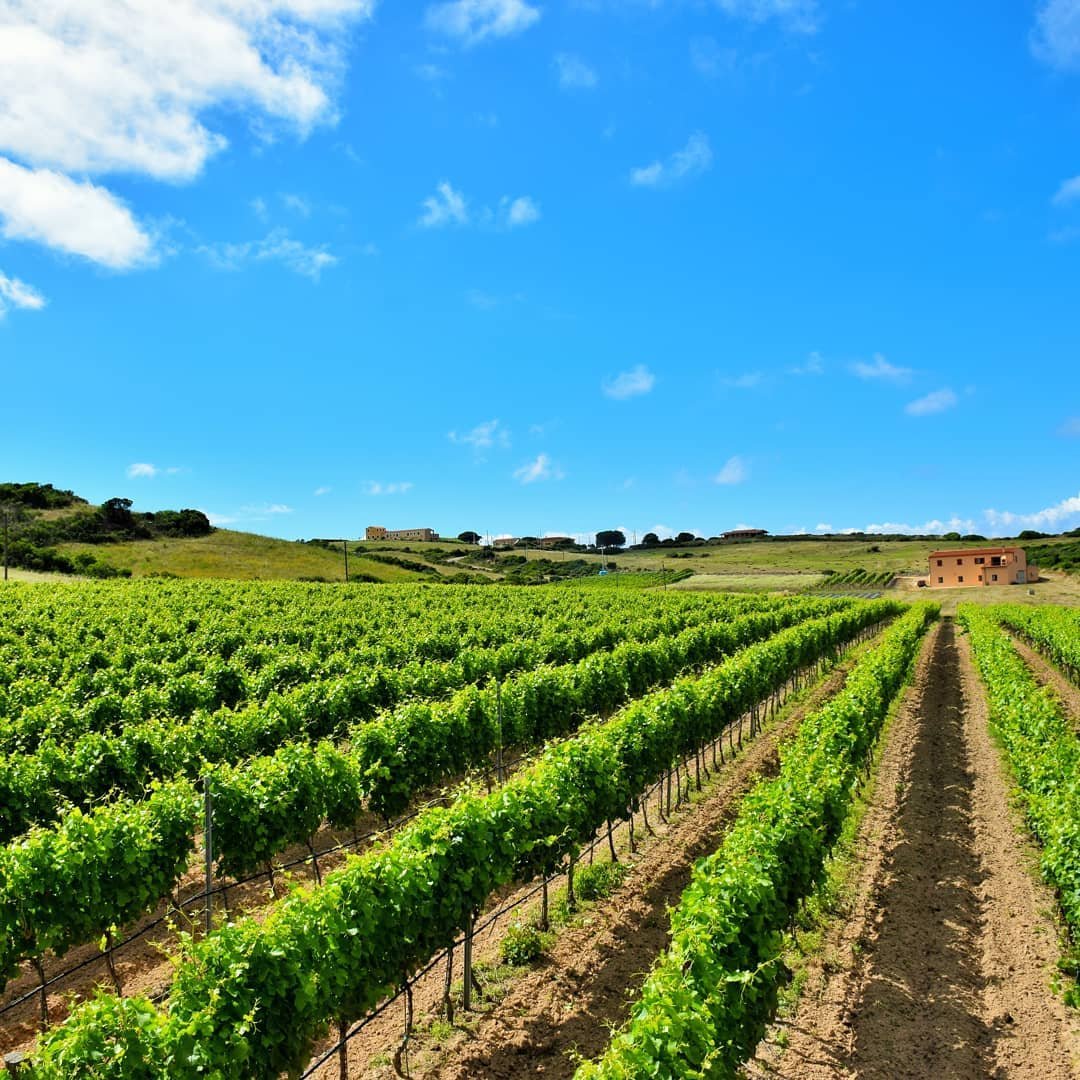 SnapInsta.to_102699959_275970770207442_942861484339653217_n