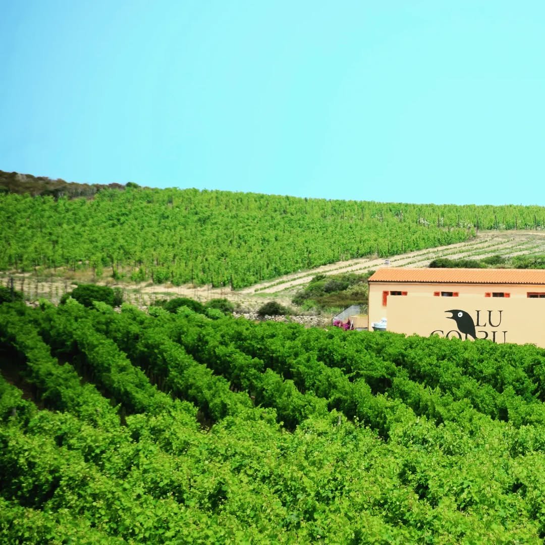 SnapInsta.to_383229200_2033115100361667_7896520747352425213_n (1)